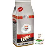 Кофе в зернах IONIA Gastronom 60% Арабика 1 кг (мягкая упаковка)