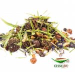 Чай Gutenberg фруктово-травяной «Сила стихий» 100 г (весовой)